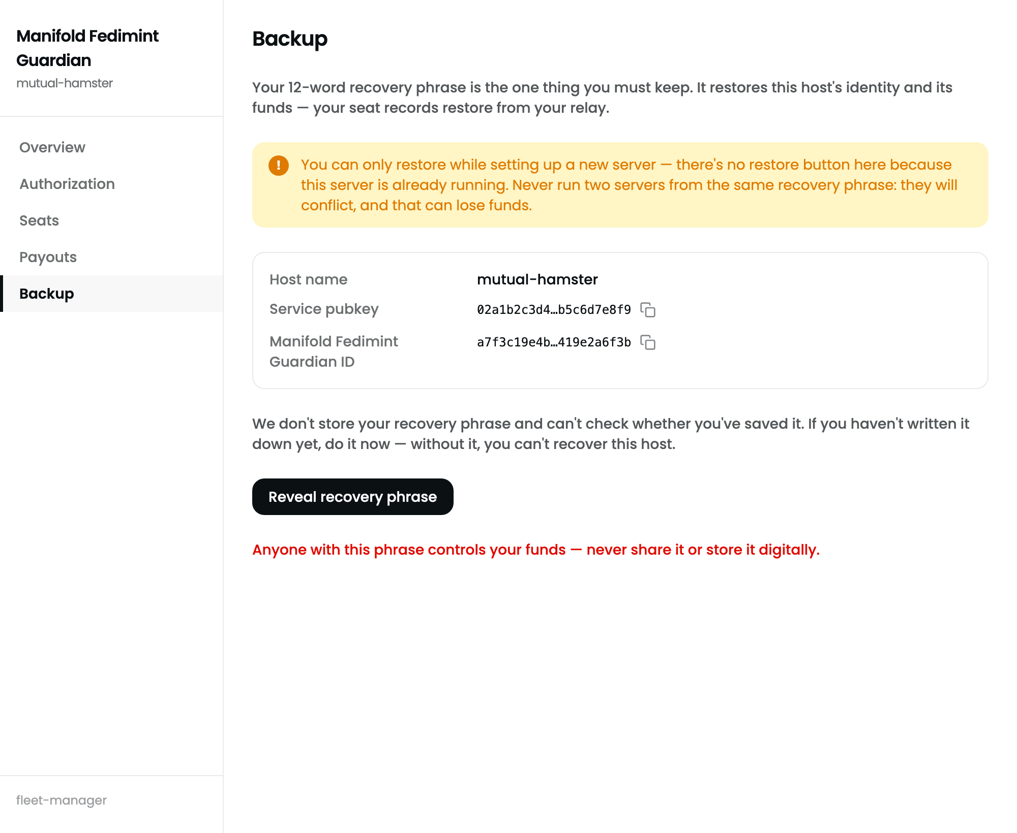 Backup page: fleet name, keys, reveal recovery phrase